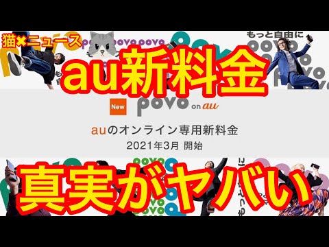 auの新料金の真実がヤバい　(KDDI　au　povo　ポヴォ　新料金　新プラン　ドコモ　　アハモ　ソフトバンク　アンチ　誹謗中傷　炎上　トレンド　バズり　猫✖︎ニュース)#314