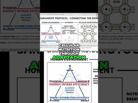 Optimizing Cellular Environment for Energy Efficiency: The Key to Improved Health
