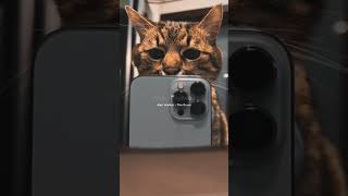 DJ Ya Ydna x The Drum #djyaodna #remix #alanwalkel  #subscribe #trending #shorts