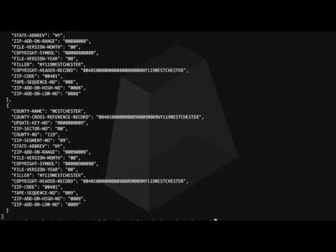 COBOL: Parsing Copybook Files into JSON
