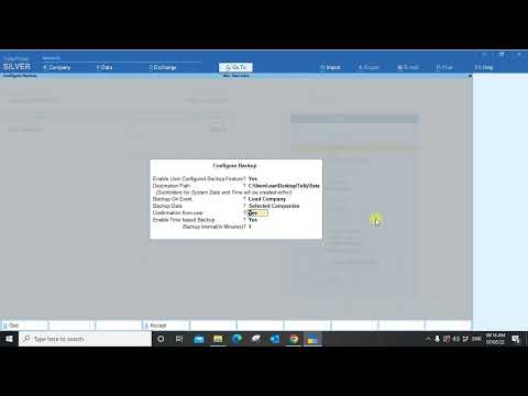 Tally Smart Auto BackUp