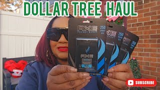 Dollar Tree Haul | New Finds 