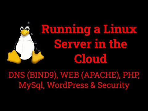 Hands-On Project: Configuring a Linux Server from Scratch (VPS, DNS, WEB, PHP, MySql, WordPress)