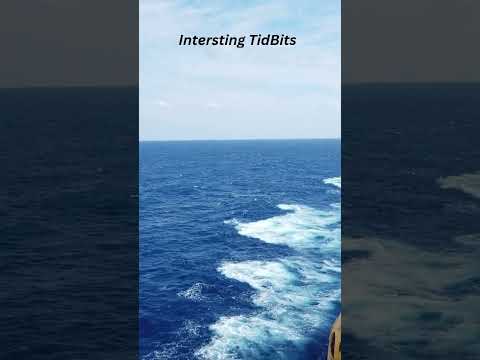 Cruising TidBits 🛳️🛳️