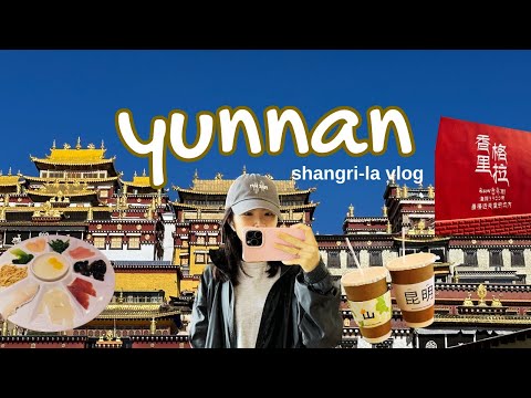 yunnan 云南 vlog | places to visit in shangri-la, ancient town, tibetan bonfire night, hiking 香格里拉vlog