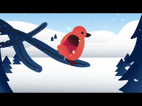 Why The Evergreens Keep Their Leaves - Animated Story