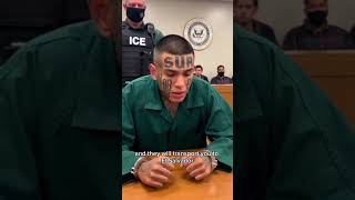 Chaos in Court: Inmate Snaps After Judge Orders Deportation & 8-Year Sentence #judgejudy #court
