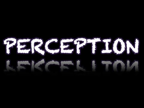Qu'est-ce que la perception? 2 éléments essentiels à retenir