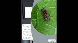 What is a Bug | Tech Explainer