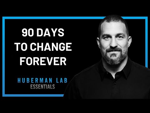 Do This for 90 Days — It Will Change Your Life Forever | Andrew Huberman