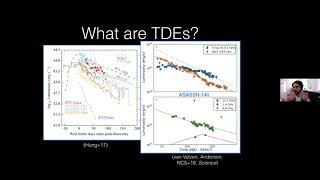 Tidal Disruption Events: Questionnaires in the SMBH Census - Nicholas Stone