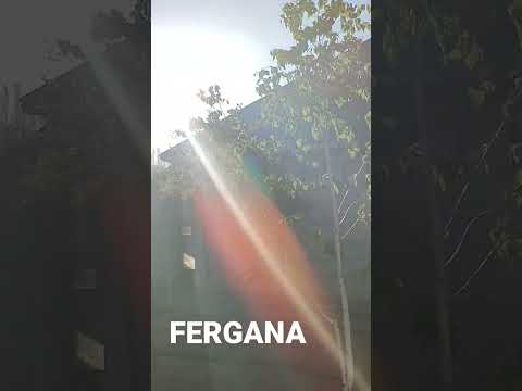 Fergana welcome to #222 #nature #pianorelax #relax #relaxingpianomusic #4kvideo #fergana #online