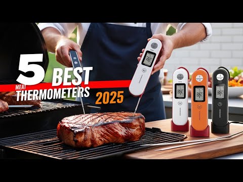 Never Overcook Again! Best Meat Thermometers for 2025