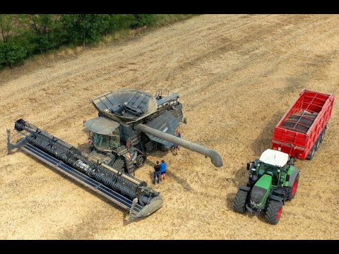 Fendt IDEAL 9T  bei der Raps Ernte in 4K UHD