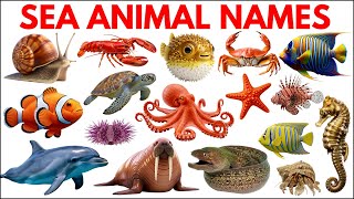 Sea Animals | Sea Animal names for Kids in English | Educational Video For Toddlers #seaanimalsname