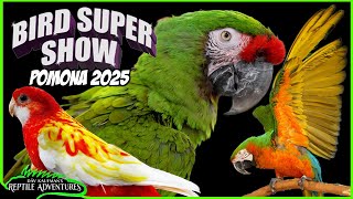 POMONA BIRD SUPER SHOW 2025! 100s of birds and parrots!