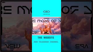 🤩Master The Website Design: Create Stunning Websites Like a Pro!