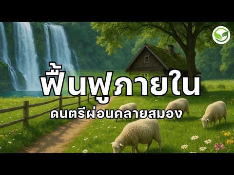 ฟื้นฟูจากภายใน ทั้งจิตวิญญาณและร่างกาย คุณจะเบาสบายตัวขึ้น ดนตรีผ่อนคลายสมอง ดนตรีฟื้นฟูจิตใจ 