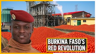 Burkina Faso’s Tomato Revolution | Inside SOFATO and the Rise of Local Processing