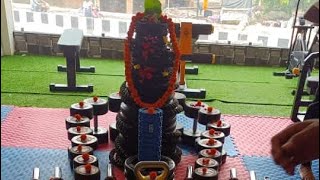 mitra prakash short video || mitra prakash news reporter|| भैया का आशीर्वाद मिला