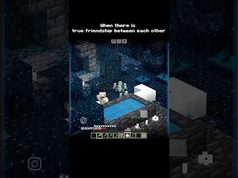 Best friend in minecraft 🤣