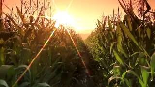 Power Systems & Controls: "A Perfect World" (Television Ad)