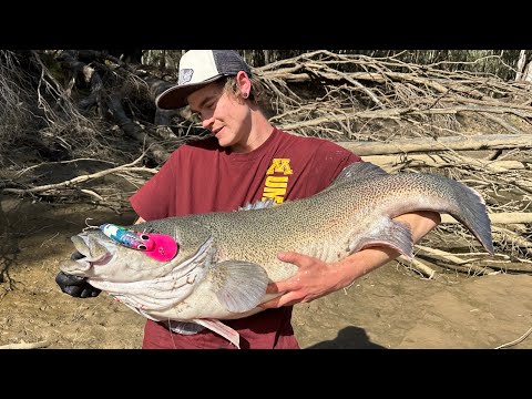 Metery!! Casting lures for Murray cod