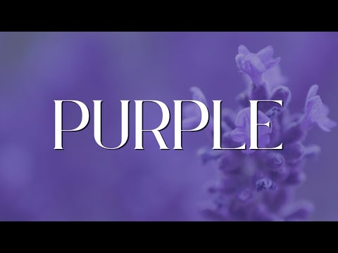 Creative, Mysterious, Royal: Meet Purple! (Color Meaning Video)