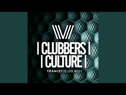 I Will Never Leave You (Original Mix)