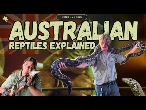 Australian Deadliest Reptiles Explained | @kikkuvlogs