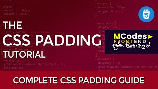CSS Padding: Fine-Tuning Spacing for Pixel-Perfect Layouts (in Sinhala)
