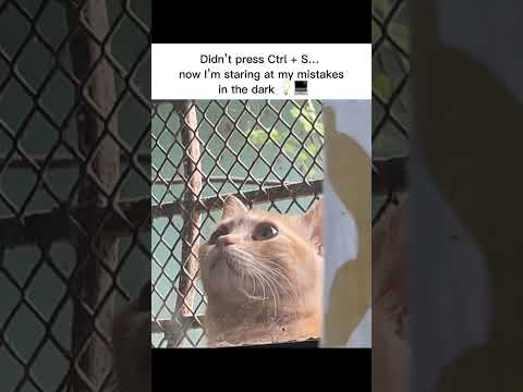 Every coder’s worst nightmare!#coding #youtubeshorts #flutter #ai #programming #techshorts