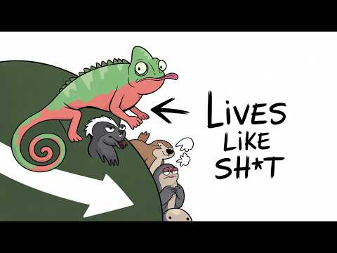 😂 You’ve Never Heard Animals Talk Like THIS… Just Wait for Chameleon | Try Not to Laugh Challenge