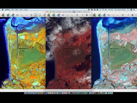Using Separate Windows in Tuiview