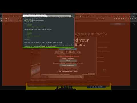 Bypass the web bullshit with Lynx Browser