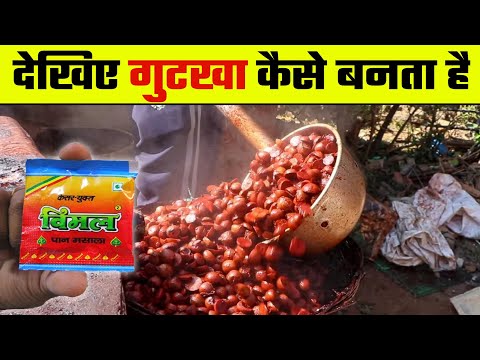 इस तरह फैक्ट्री में बनाया जाता है गुटका | Pan Masala making Process | wanted TV
