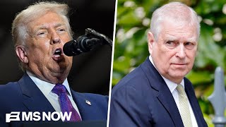 Are Republicans 'cringing' after Trump's Georgia speech?