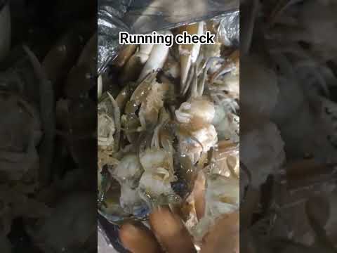 running check #trending