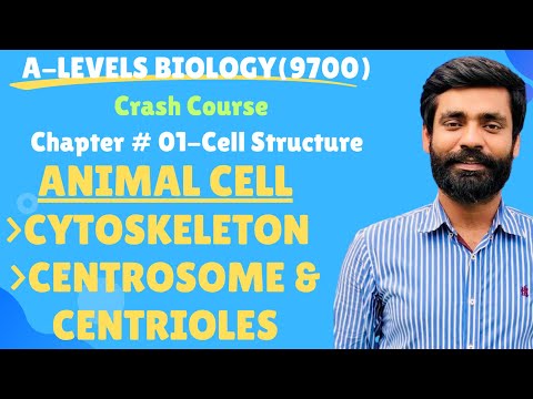 AS Biology|Chapter #01 Cell Structure(Cytoskeleton ,Centrosome & Centrioles)
