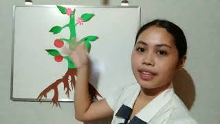 Educational Vlog | Ivy Marie A. Mabayag