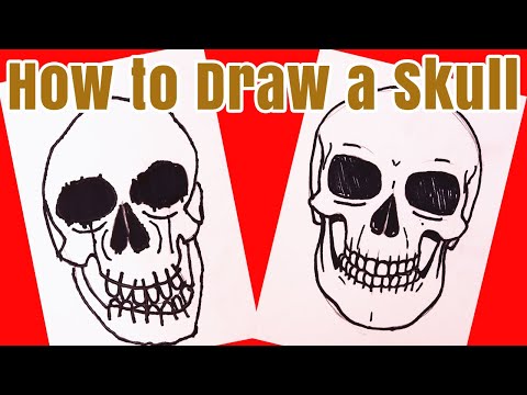 How to Draw a Human Skull Kids Art Tutorial