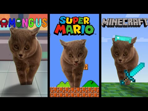 Alugalug Cat in famous places