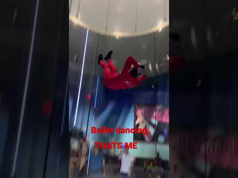 I went skydiving