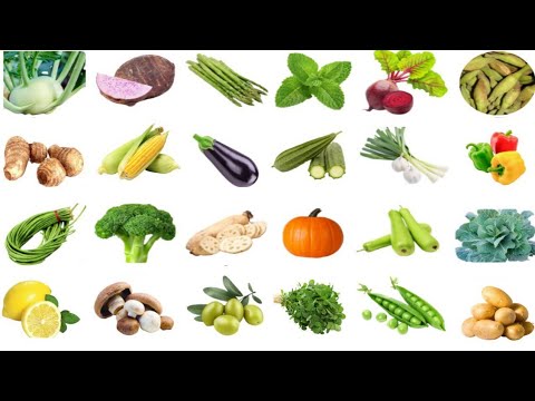 Vegetables Name in English and Urdu | Vegetables Vocabulary | Name of Vegetables | Gk with Ali
