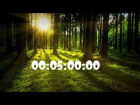 5min countdown relaxed music forest #relaxationmusic , #meditationmusic , #calmmusic , #forest