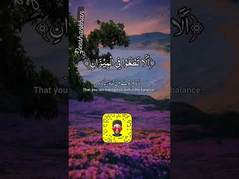 Surat ul Rehman Just Feel There deep #religion #freequraneducation #quran #qurancover #surah #love