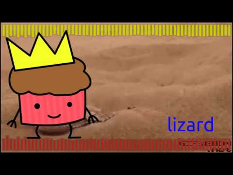 exporting video of lizard and a muffin