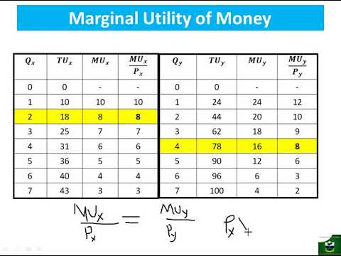 Consumer Choice theory Part 3: Consumer's Equilibrium - Equi Marginal Utility Approach