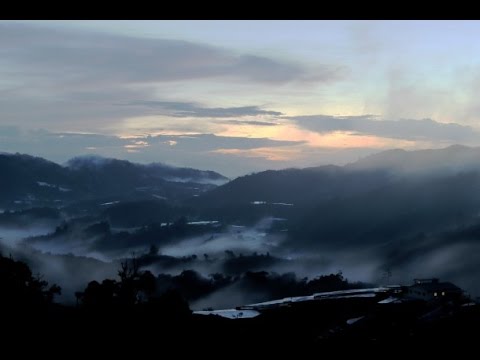 [Genting Highland] A day out with our furry friends at a misty mountain