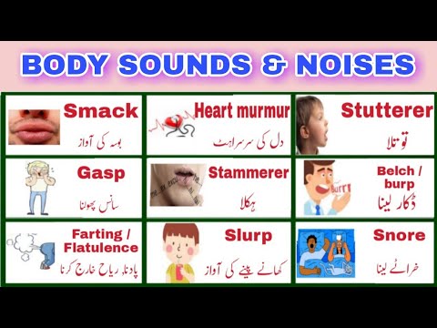 Body Sounds and Noises in English and Urdu | Common Sounds Produced by Human Body | GK with Ali